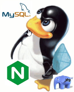 Installare Nginx con PHP 7, PHP-FPM e MySQL su Ubuntu 16.04